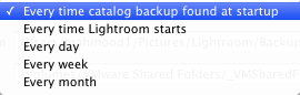 LR Backup automatic backup frequency options