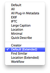 Metadata Panels Lightroom 2 tagset list