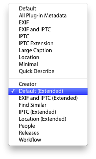 Metadata Panels Lightroom 3 tagset list