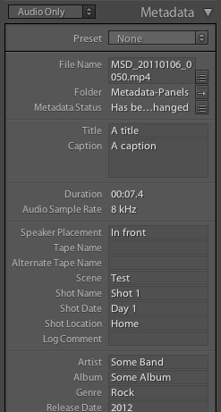 Metadata Panels Audio Only tagset