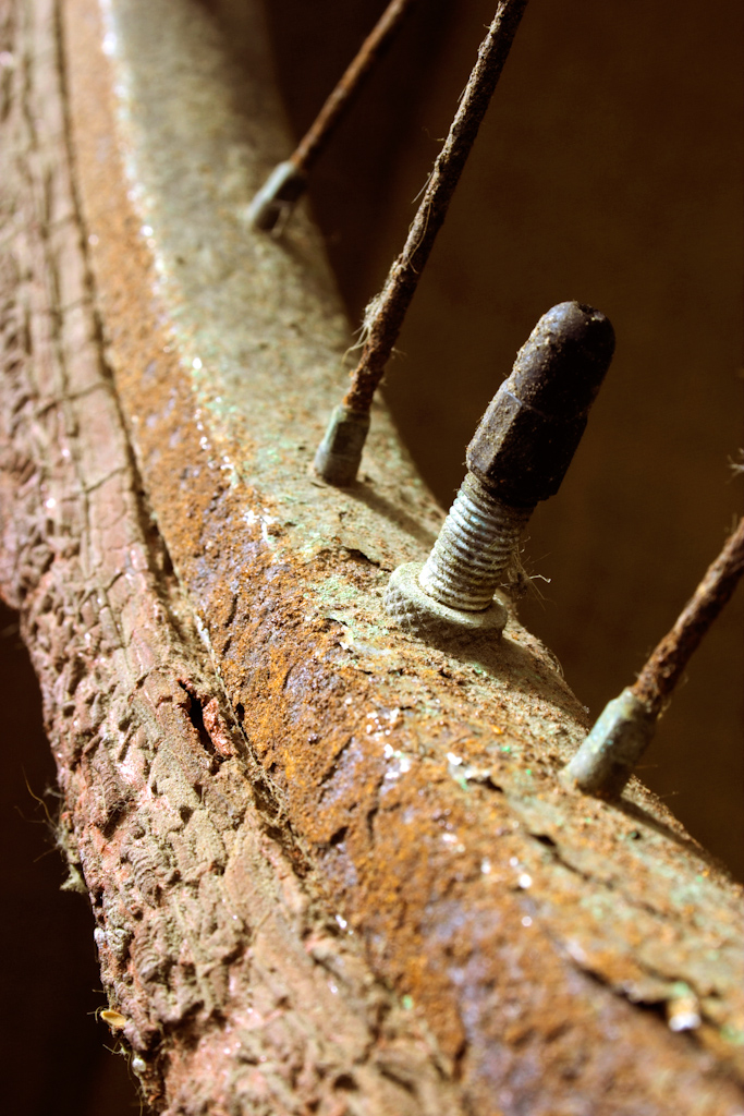 An old bicycle tyre. The image has a narrow depth of field centered around the valve. The image is part of a series of photos of this bike, with each image concentrating on a different component.