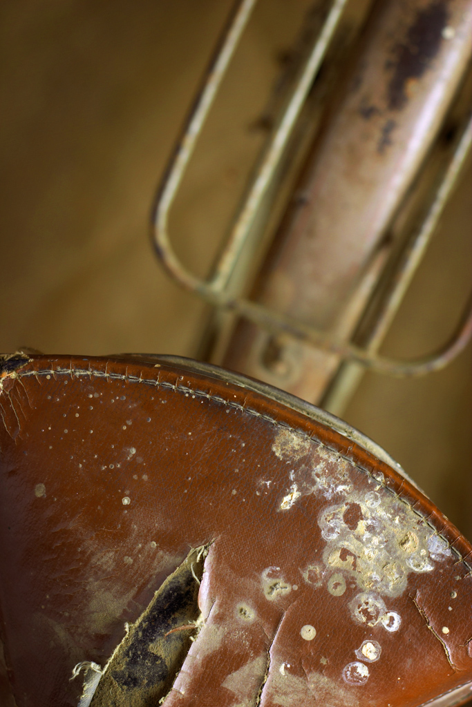 The seat and luggage rack of a very old bicycle, as seen from the top. The image has a narrow depth of field, with the seat maintained in sharp focus. The image is part of a series of photos of this bike, with each image concentrating on a different component.